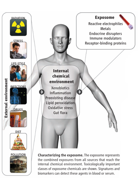 Eksposom Planetary Health dan Omics